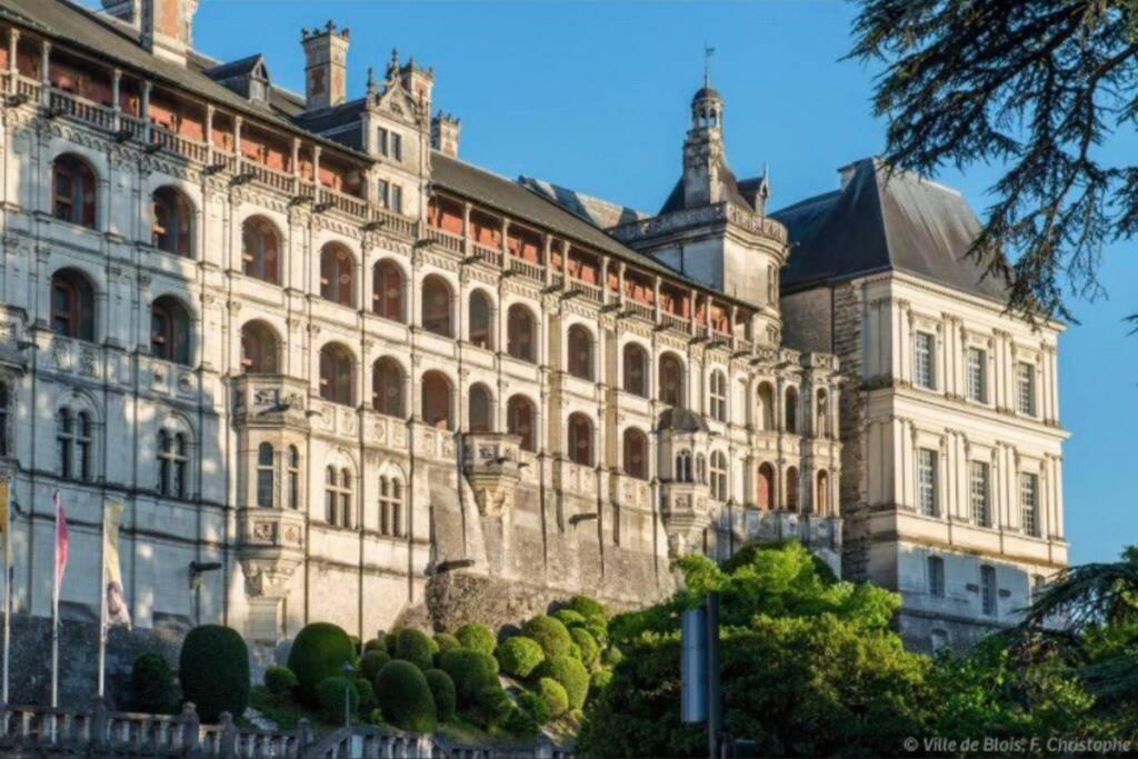 Cosy Centre De Blois